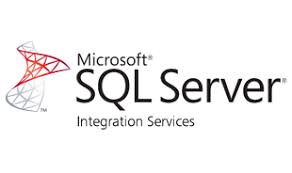 SSIS logo